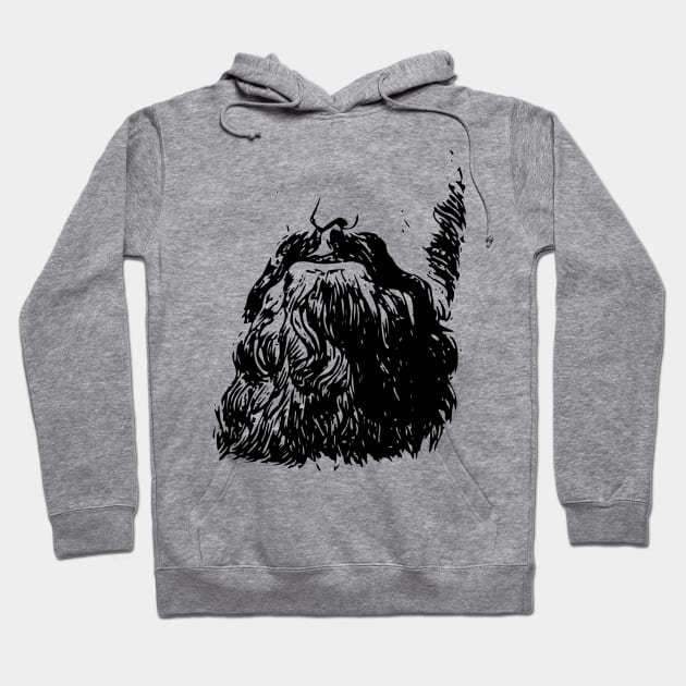 Garibaldi Beard Hoodie by beardsandstaches